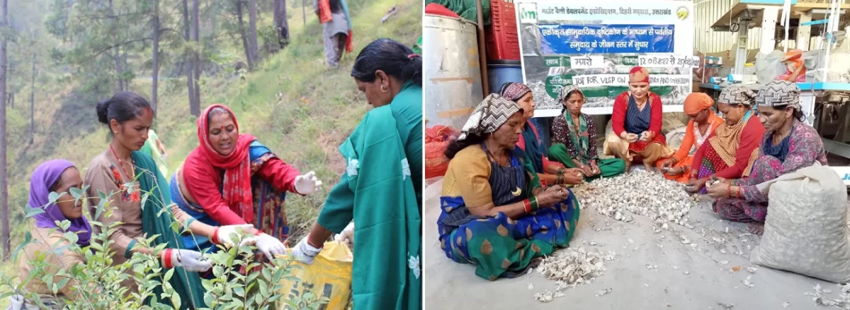 Improving Living Standards of Mountain Community through Integrated Community Approach