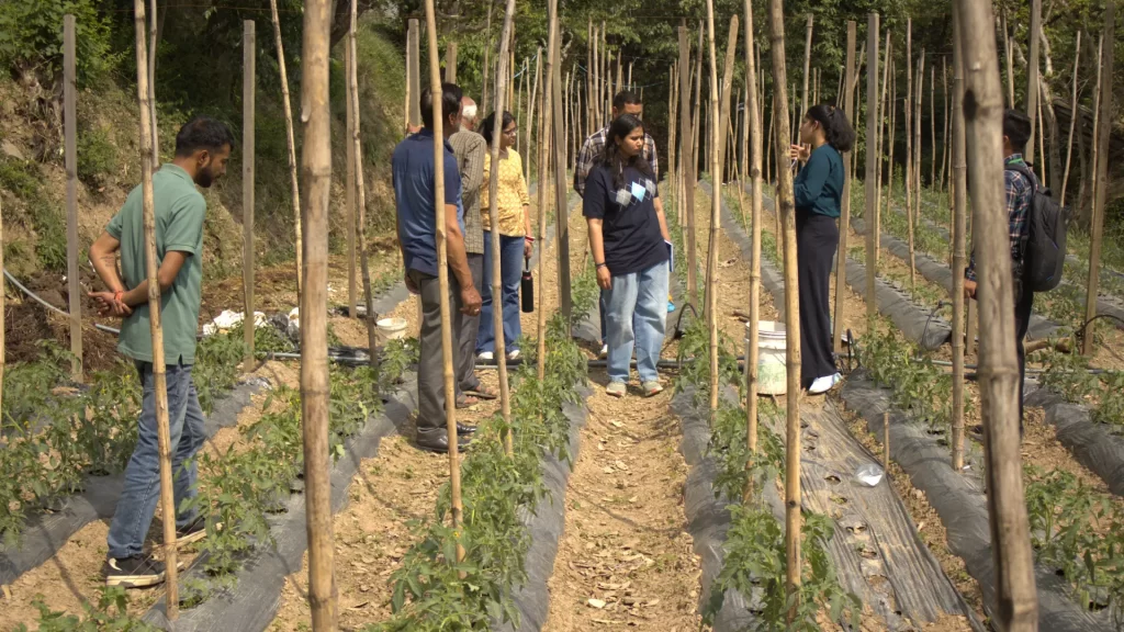 Agriculture Field visit FRDP 2025