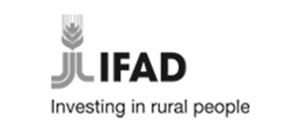 ifad investing in rural people