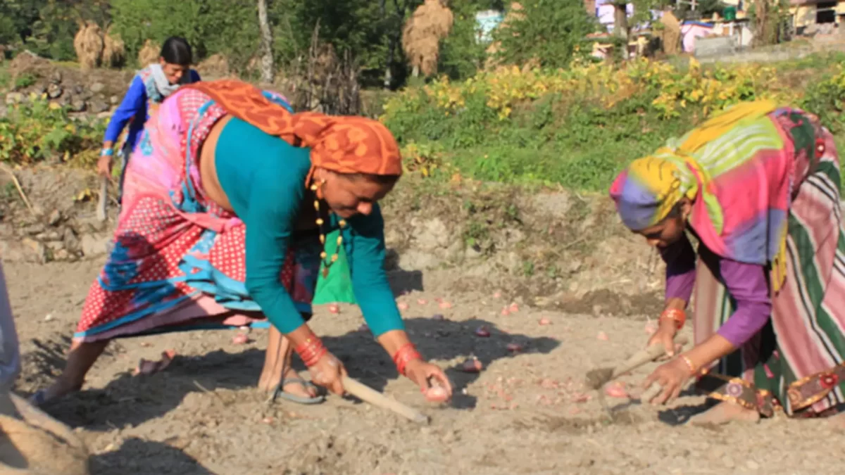post agriculture programs women working at field