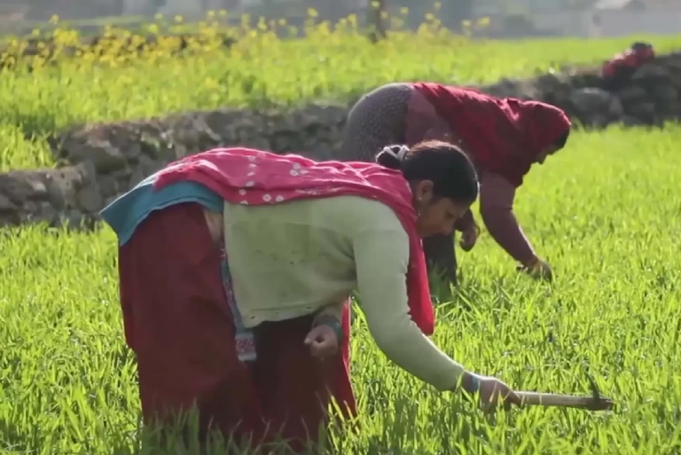 Agriculture