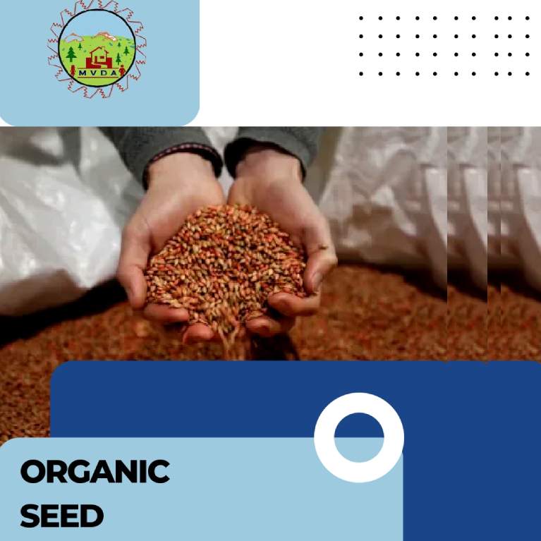 organic seed